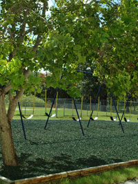 Green Rubber Mulch Swingset Safety Surface