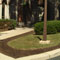 Brown Residential Landscaping Rubber Mulch