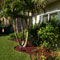 Residential Landscaping Red Rubber Mulch