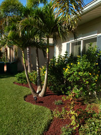 Red Rubber Mulch Residential Landscaping