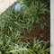 Commercial Landscaping Mulch Sandalwood Rubber Mulch